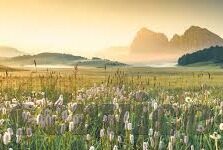 足球比分号-探秘足球比分号，绿茵场上的数字密码与情感纽带